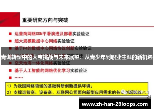青训转型中的大宝挑战与未来展望：从青少年到职业生涯的新机遇